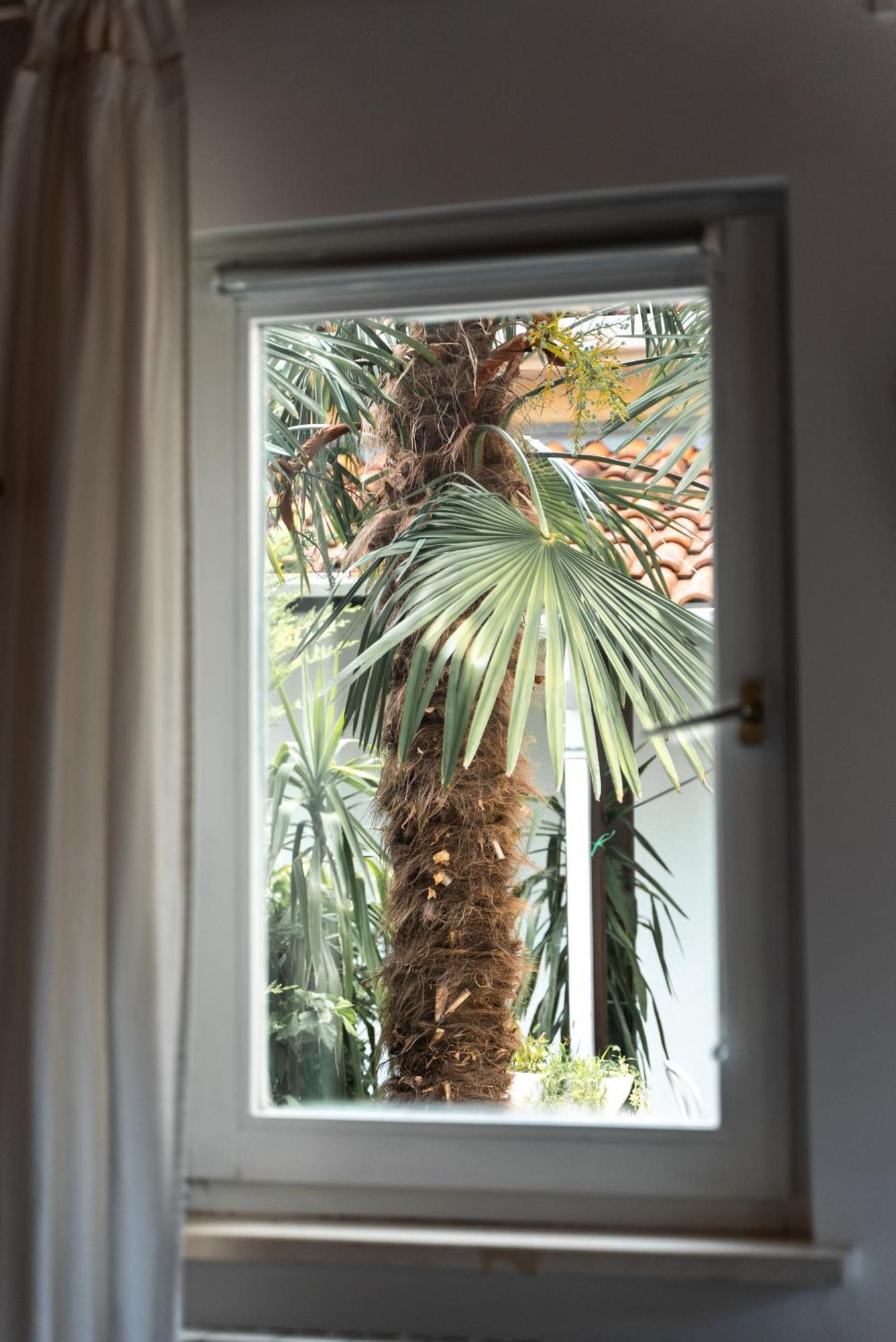 New Cosy Apartments With Private Parking Opatija Exteriér fotografie